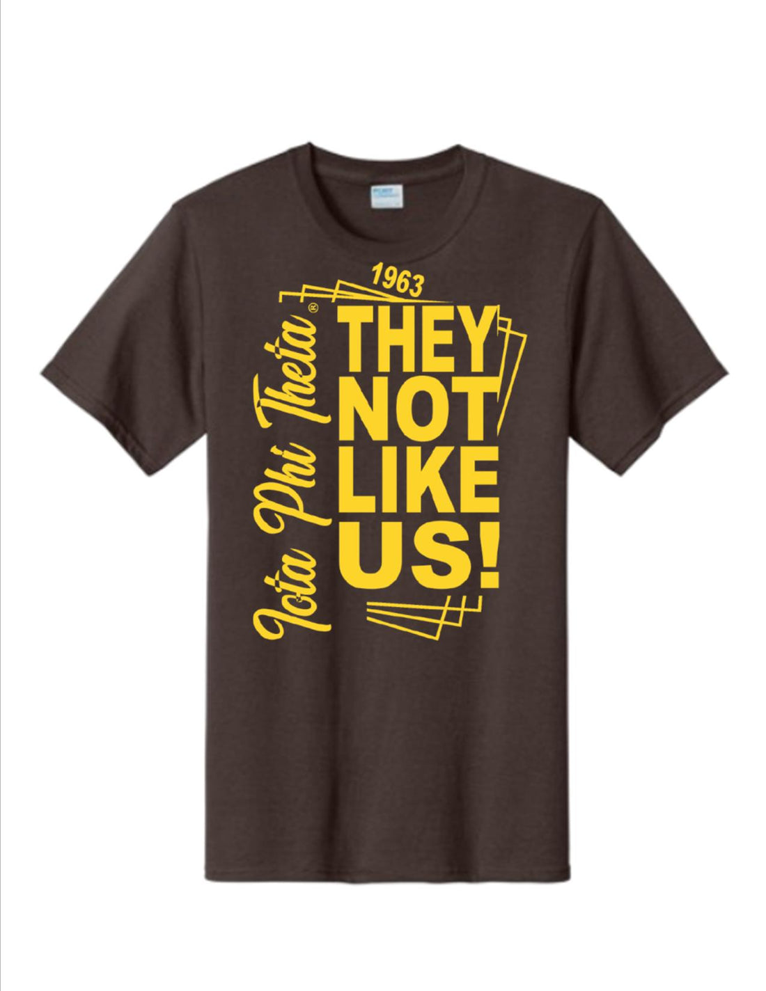 Iota Phi Theta 'They Not Like Us' Tee